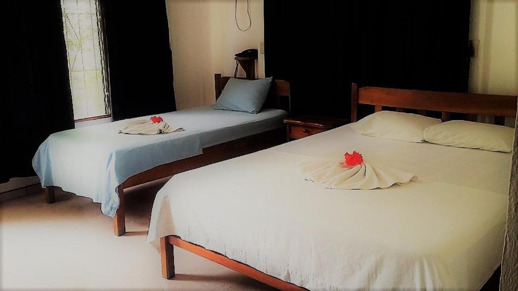 Aunty Arenal Lodge La Fortuna Екстер'єр фото
